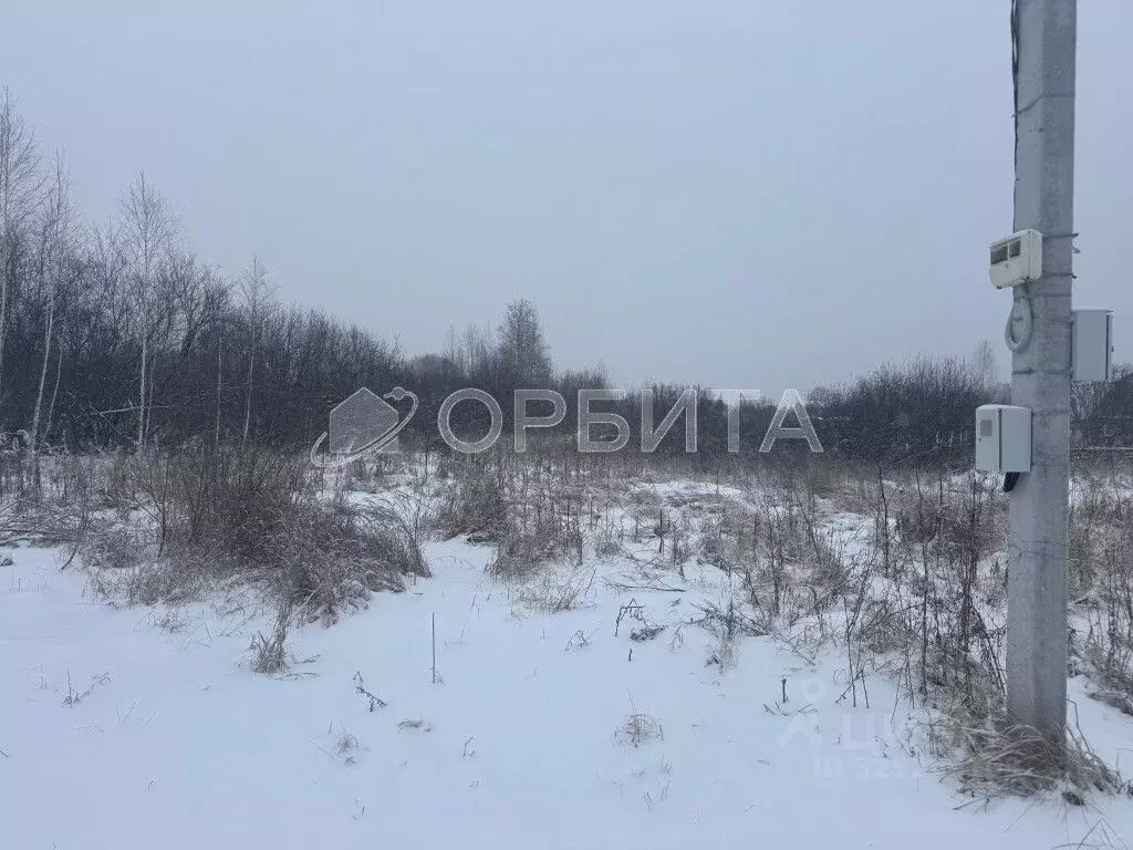 Участок в Тюменская область, Тюмень Светлячок садовое товарищество, ... - Фото 1