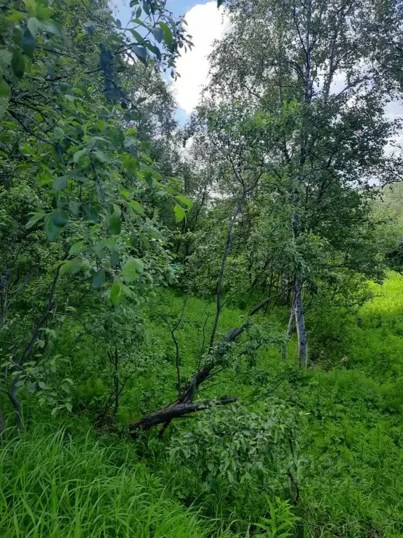 Участок в Мурманская область, Кольский район, Кильдинстрой городское ... - Фото 1