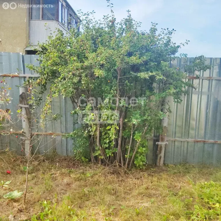 Участок в Челябинск, СНТ Тракторосад № 3, 29-я дорога (5.39 м) - Фото 1