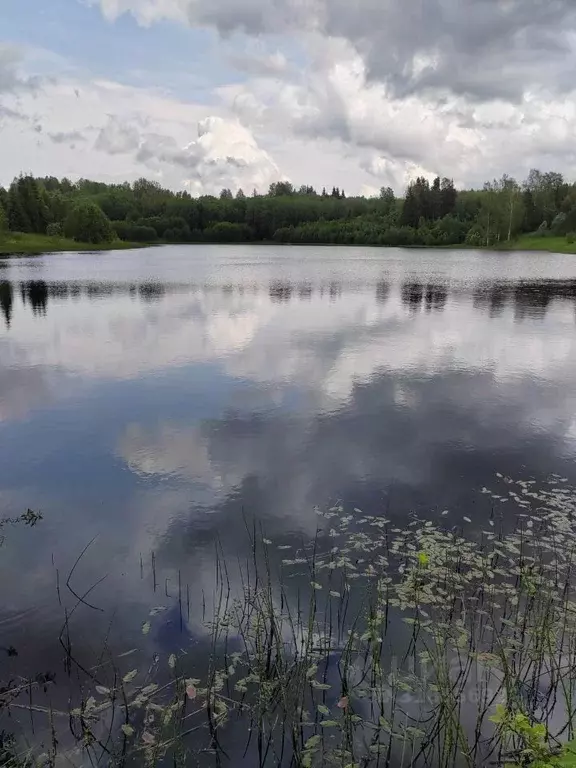 Участок в Новгородская область, Демянский муниципальный округ, д. ... - Фото 1