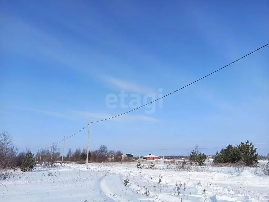 Участок в Костромская область, Кострома Соколиное Гнездо кп,  (8.2 ... - Фото 1