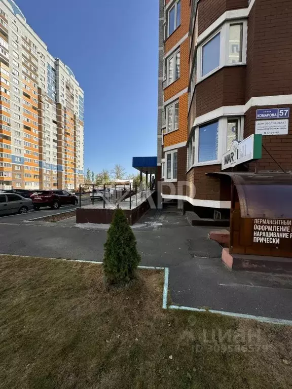 Помещение свободного назначения в Брянская область, Брянск ул. ... - Фото 1