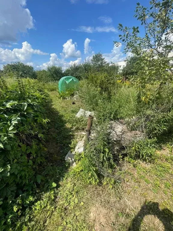 Участок в Московская область, Ступино городской округ, с. Ивановское  ... - Фото 0