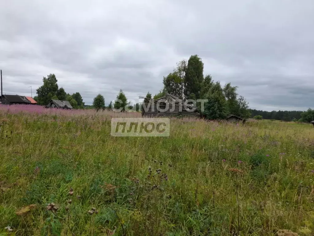 Участок в Архангельская область, Вилегодский муниципальный округ, д. ... - Фото 2