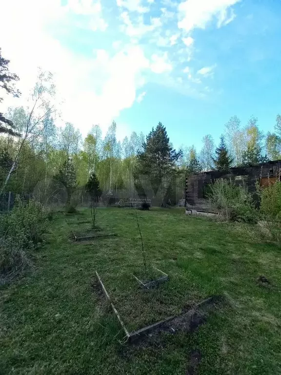 Участок 6 сот. (СНТ, ДНП) - Фото 1