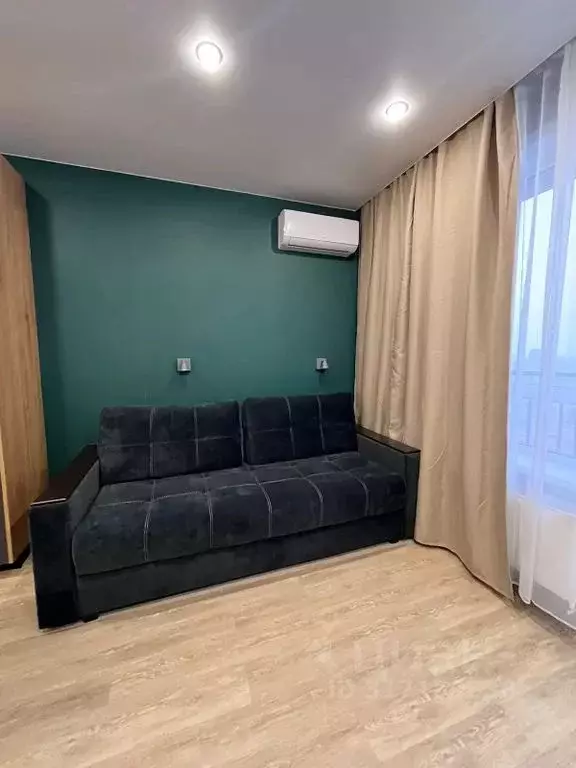 1-к кв. Новосибирская область, Новосибирск ул. Никитина, 67 (31.0 м) - Фото 1