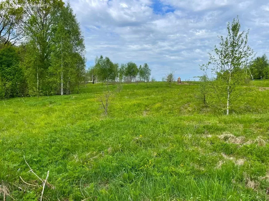 Участок в Сергиево-Посадский городской округ, деревня Подушкино (7.58 ... - Фото 1