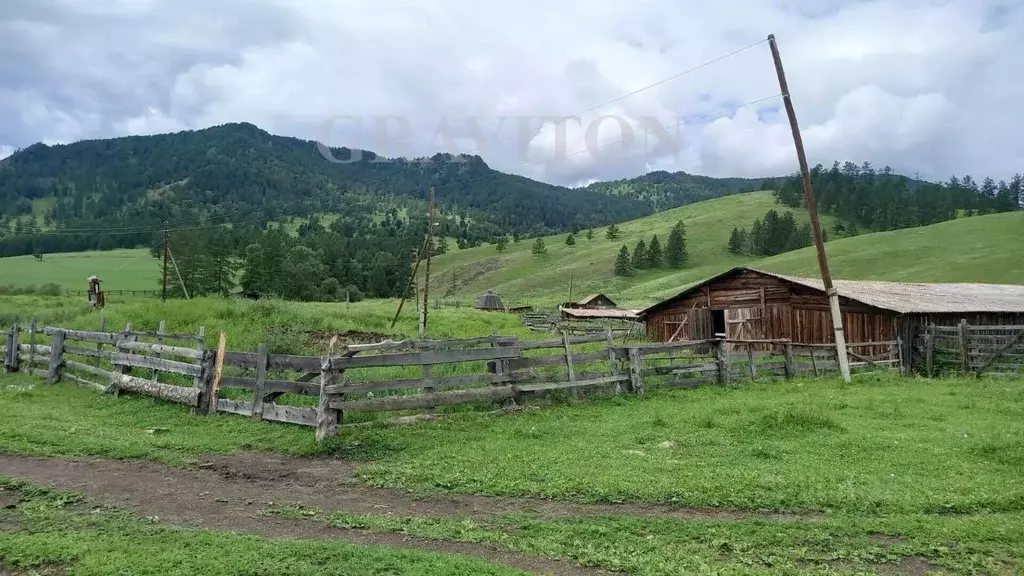 Участок в Алтай, Усть-Канский район, с. Козуль  (56.0 га.) - Фото 1