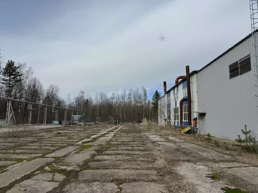 Склад в Брянская область, Брасовский район, Погребское с/пос, д. ... - Фото 1