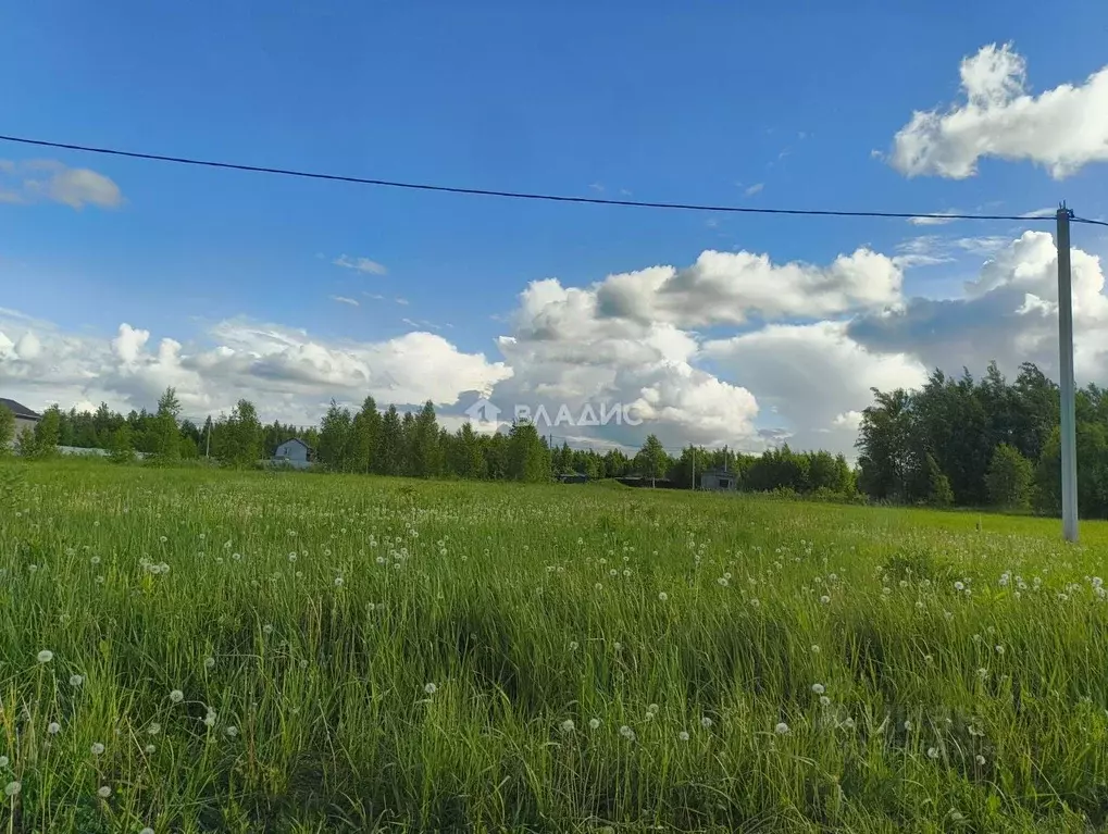 Участок в Марий Эл, Йошкар-Ола городской округ, д. Шоя-Кузнецово ул. ... - Фото 2