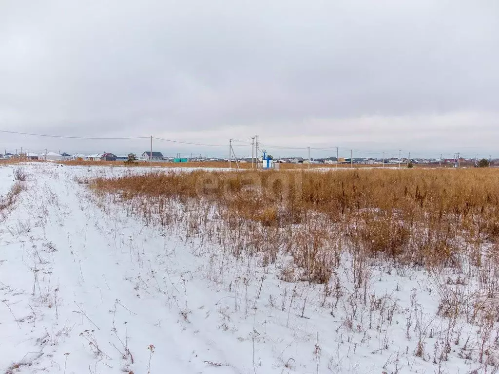 Участок в Тюменская область, Тюменский муниципальный округ, Садовые ... - Фото 1