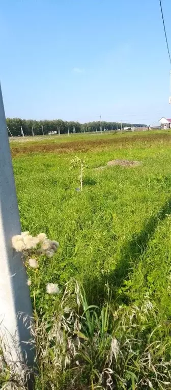 Участок в Башкортостан, Нуримановский район, Байгильдинский сельсовет, ... - Фото 2