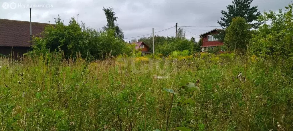 Участок в Красноборское городское поселение, садоводческий массив ... - Фото 1