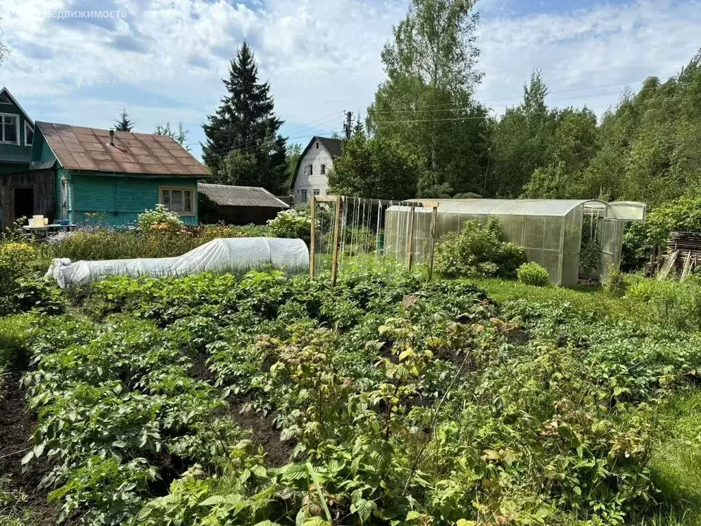 Дом в Тверская область, Калининский муниципальный округ, СНТ Ранет ... - Фото 1