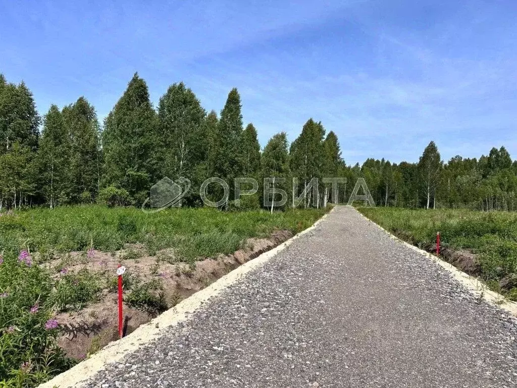 Участок в Тюменская область, Нижнетавдинский район, Березка СНТ  (5.64 ... - Фото 0