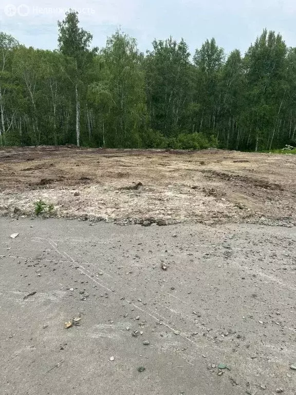 Участок в Каменский сельсовет, дачный массив Микрорайон Близкий (10 м) - Фото 2