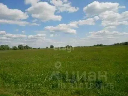 Участок в Алтайский край, Тальменский район, Тальменка рп Березовая ... - Фото 1