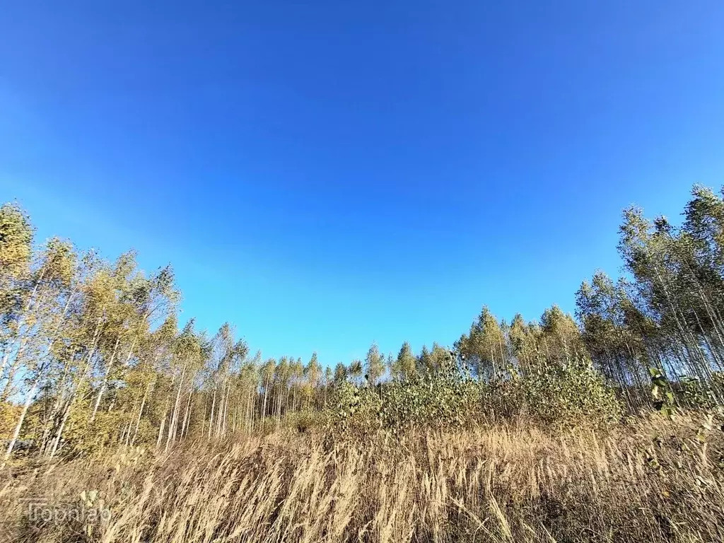 Участок в Марий Эл, Йошкар-Ола городской округ, д. Шоя-Кузнецово ул. ... - Фото 1