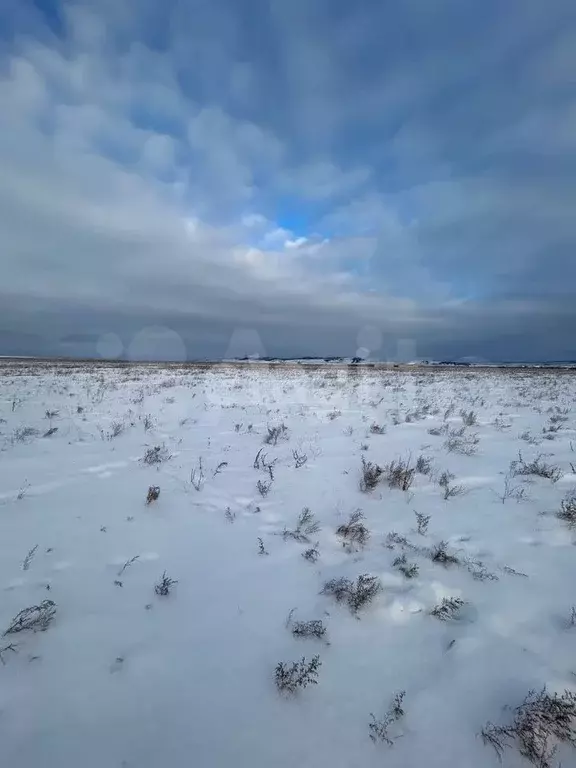 Участок 15 сот. (ИЖС) - Фото 1