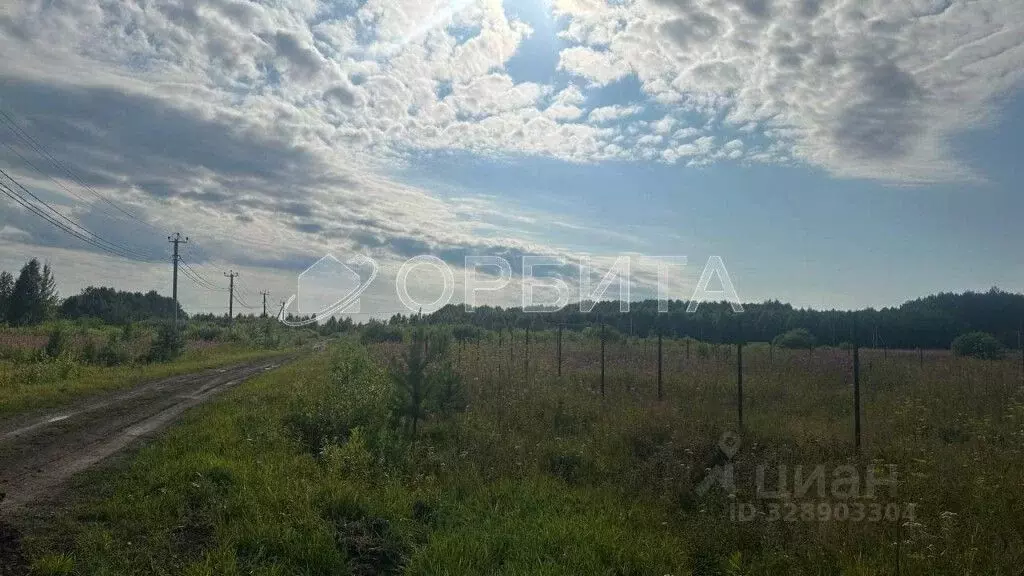 Участок в Тюменская область, Тюменский муниципальный округ, с. Кулига ... - Фото 2