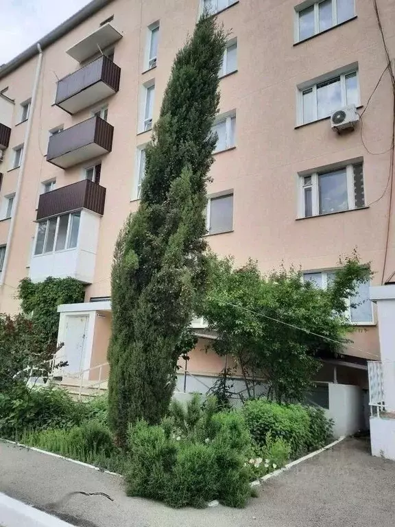 3-к кв. Крым, Кировский район, с. Золотое Поле ул. Центральная (64.0 ... - Фото 1