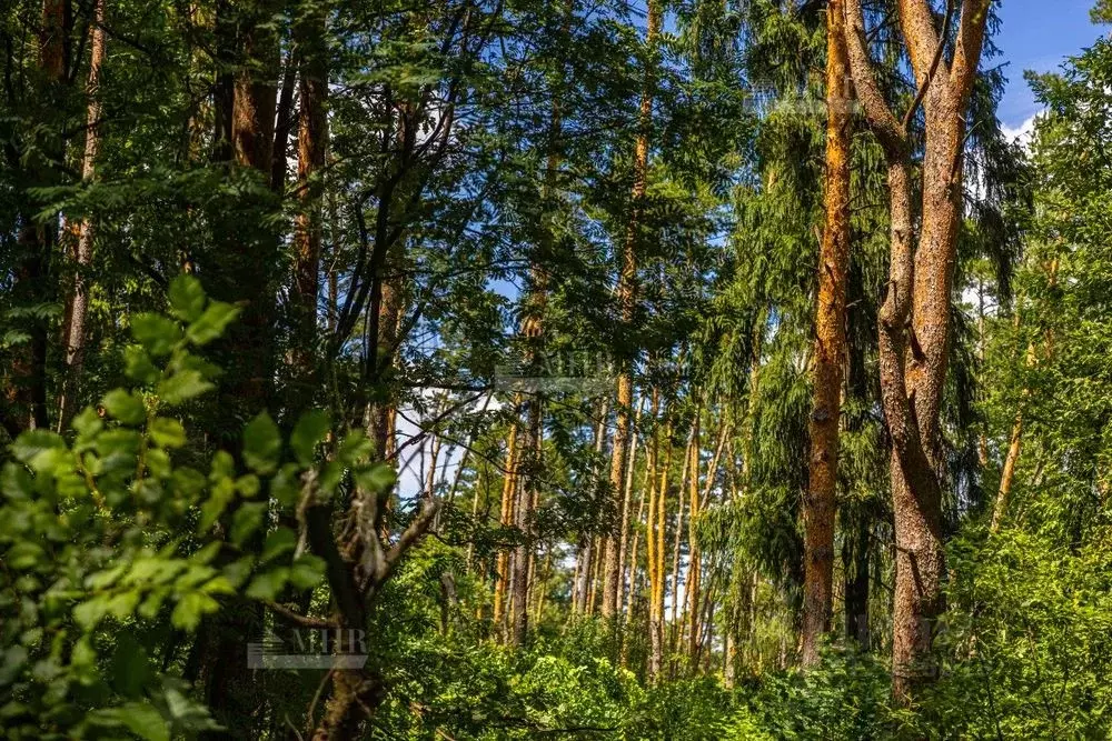 Участок в Московская область, Красногорск городской округ, с. ... - Фото 1