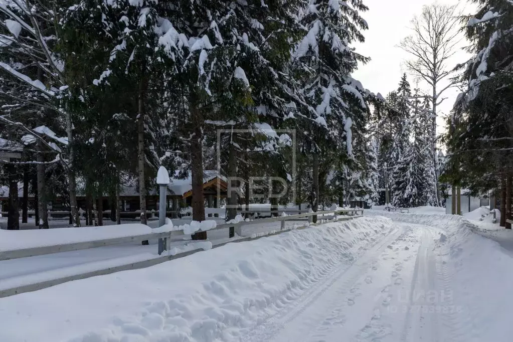 Участок в Московская область, Рузский муниципальный округ, Руза Лес дп ... - Фото 1