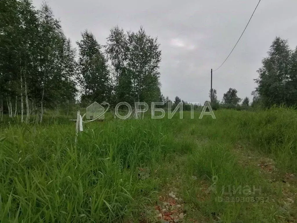 Участок в Тюменская область, Тюменский район, Янтарное ДНТ ул. ... - Фото 0