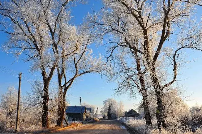 Участок в Тверская область, Рамешковский муниципальный округ, д. ... - Фото 1