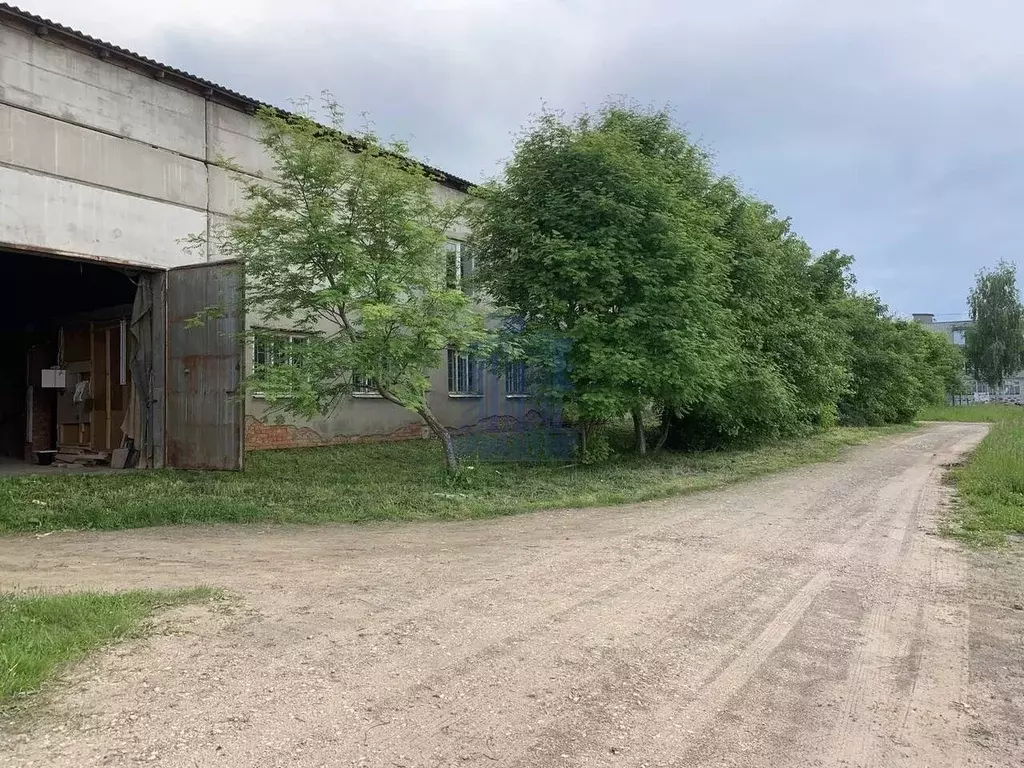 Помещение свободного назначения в Чувашия, Ядрин ул. Энтузиастов, 4 ... - Фото 2