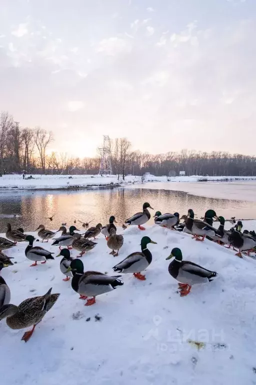 3-к кв. Башкортостан, Уфа ул. Георгия Мушникова, 7/3 (96.5 м) - Фото 2