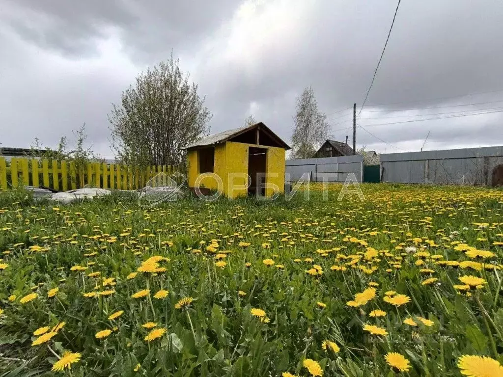Участок в Тюменская область, Тюмень Меридиан СНТ, ул. Садовая (5.0 ... - Фото 1