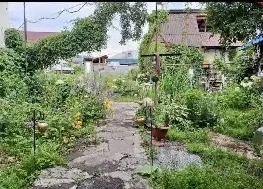 Дом в Алтай, Горно-Алтайск Колхозный пер., 35 (37 м) - Фото 1