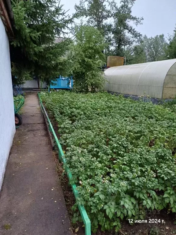 Дом в Забайкальский край, Чита № 6 Заимка СНТ, 66 (50 м) - Фото 1
