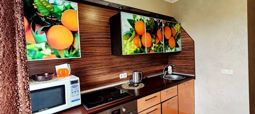 1-к кв. Самарская область, Тольятти ул. Мурысева, 51 (33.0 м) - Фото 2