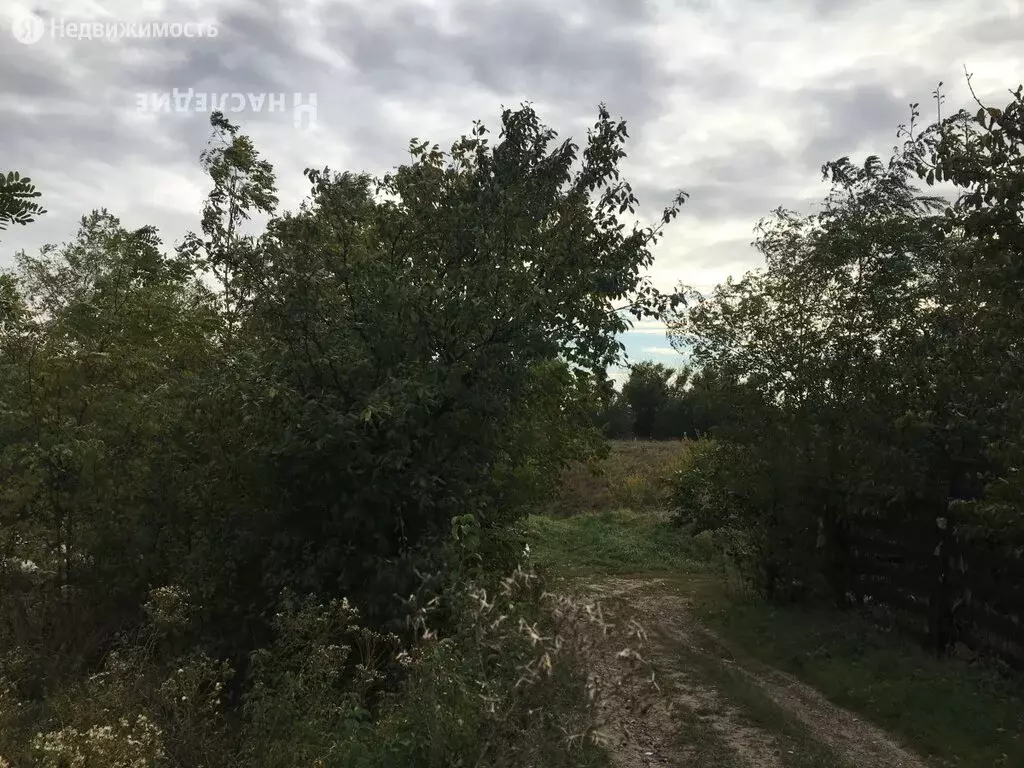 Купить Участок В Ростсельмашевец 2