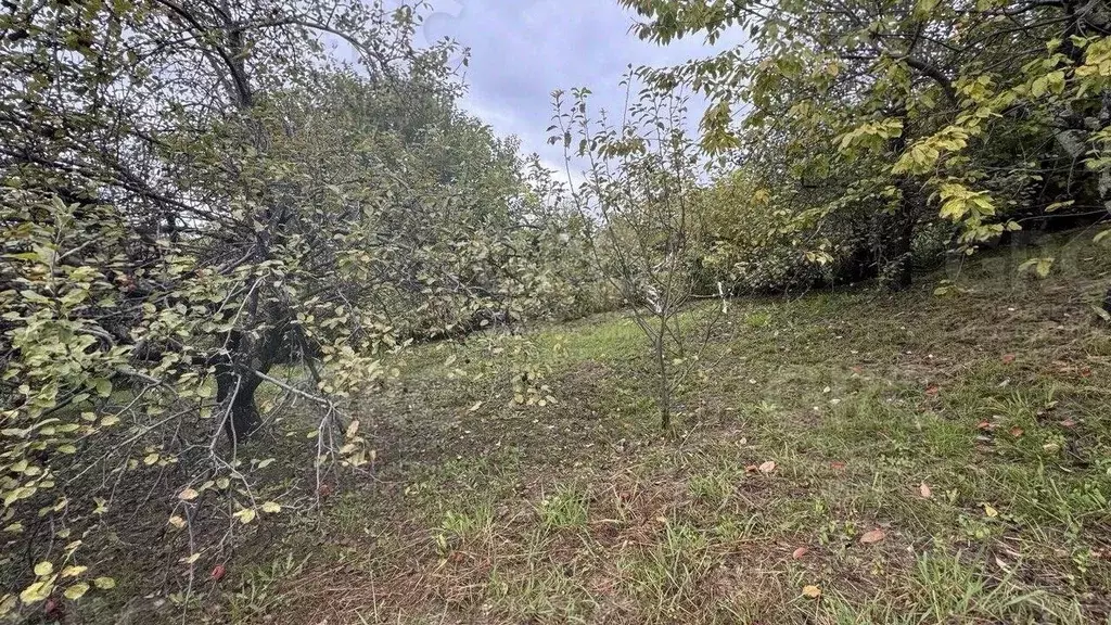 Участок в Краснодарский край, Сочи городской округ, с. Русская Мамайка ... - Фото 1