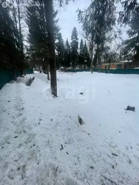 Участок в Московская область, Одинцовский городской округ, СНТ ... - Фото 1