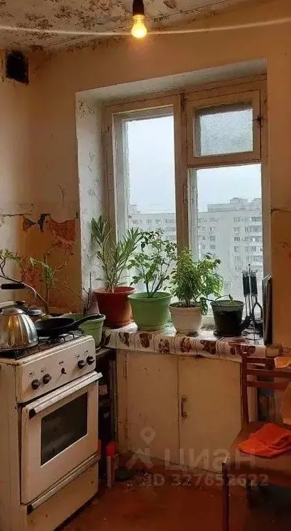 Комната Волгоградская область, Волгоград Двинская ул., 18 (9.9 м) - Фото 1