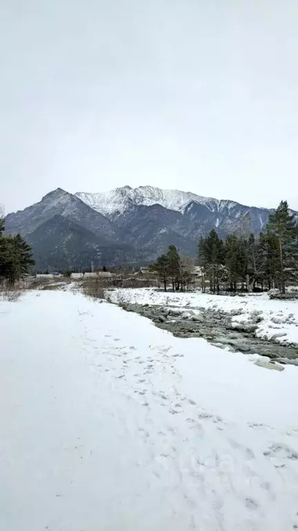 Дом в Бурятия, Тункинский район, пос. Аршан Заречная ул. (40 м) - Фото 2