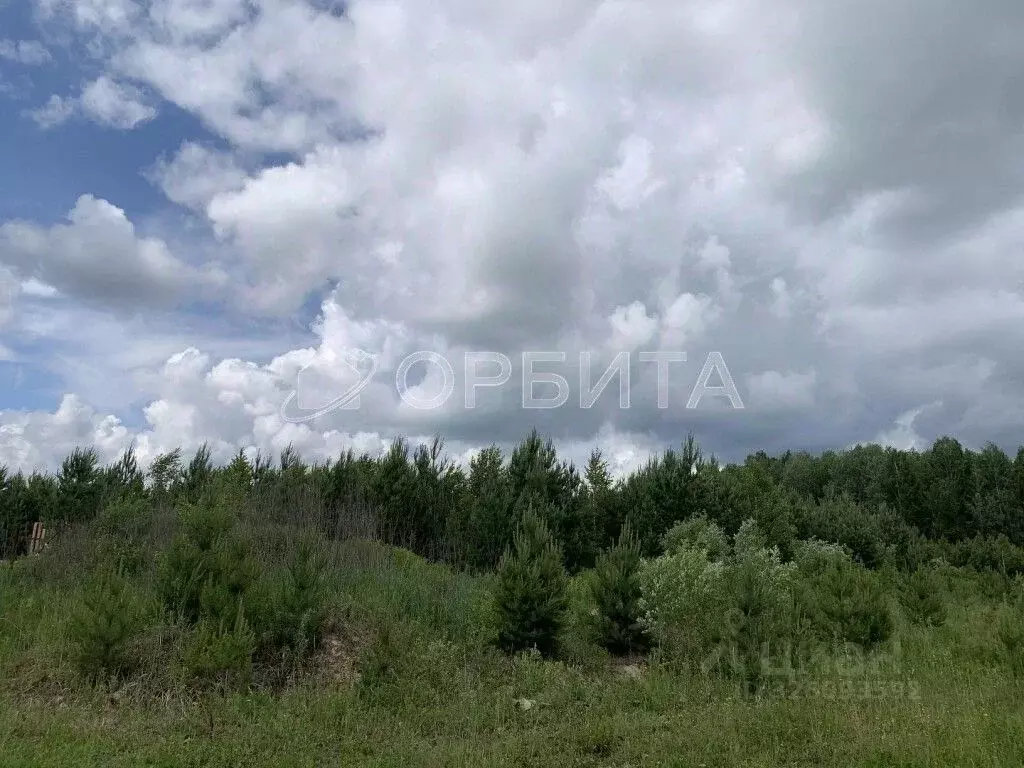 Участок в Тюменская область, Нижнетавдинский муниципальный округ, д. ... - Фото 2