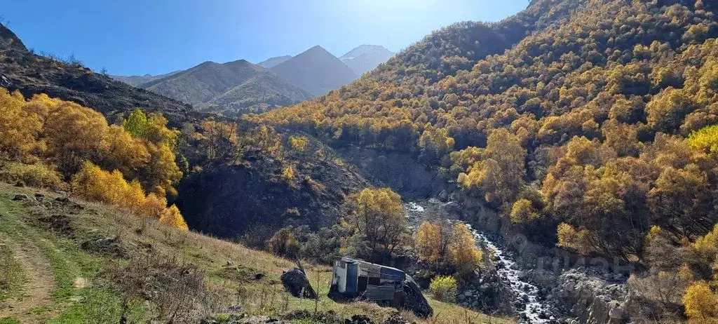2-к кв. Кабардино-Балкария, Тырныауз Эльбрусский район, ул. Мичурина, ... - Фото 1
