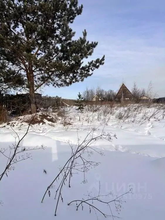Участок в Иркутская область, Иркутский муниципальный округ, Маркова рп ... - Фото 2