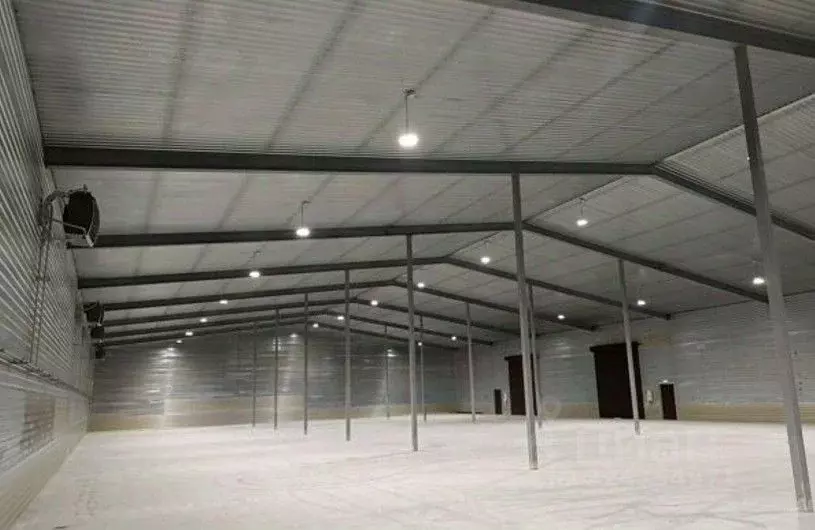 Склад в Ленинградская область, Тельмана Тосненский район, ул. ... - Фото 2