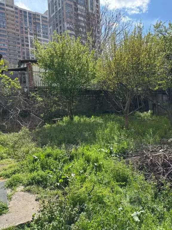 Участок в Краснодарский край, Новороссийск ул. Новороссийской ... - Фото 1