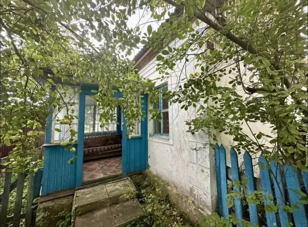 Дом в Рязанская область, Скопин городской округ, с. Старые Кельцы ул. ... - Фото 0