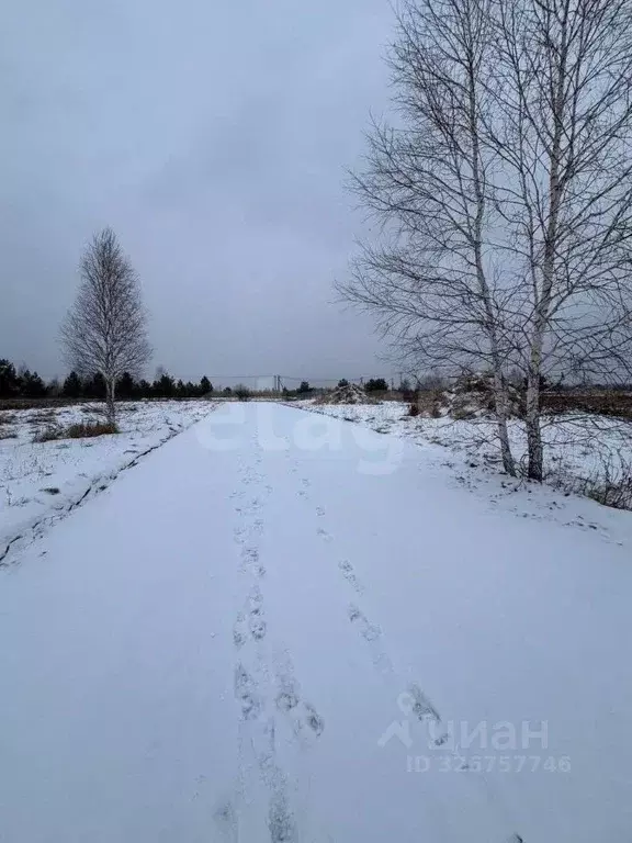 Участок в Тюменская область, Нижнетавдинский муниципальный округ, д. ... - Фото 1
