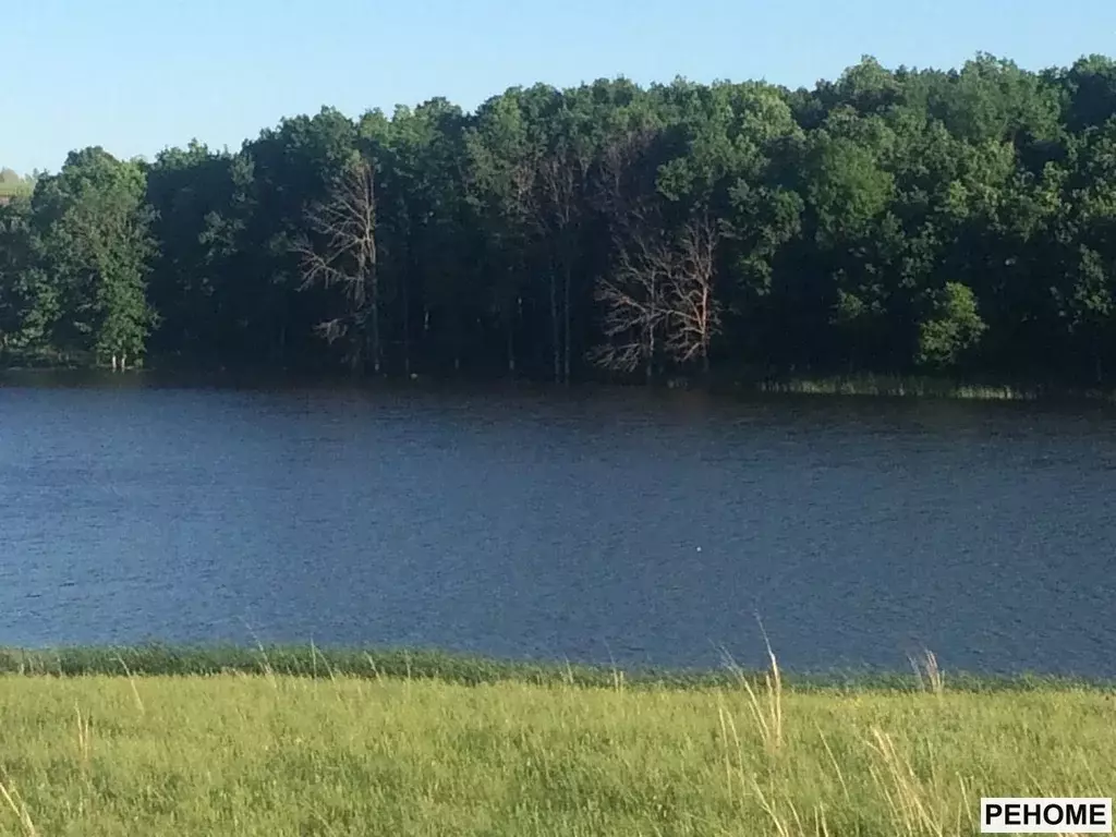 Участок в Саратовская область, Аркадакский район, с. Подгорное ... - Фото 1