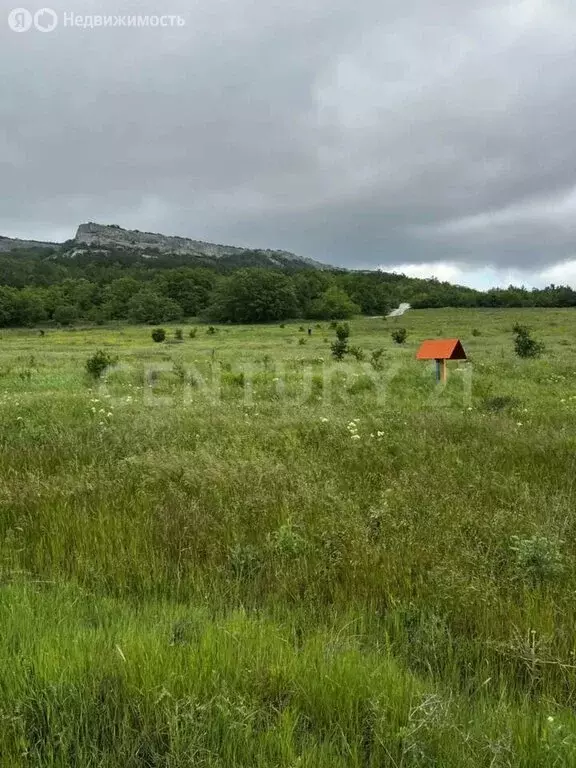 Участок в Терновский муниципальный округ, КСП Память Ленина (133.5 м) - Фото 1