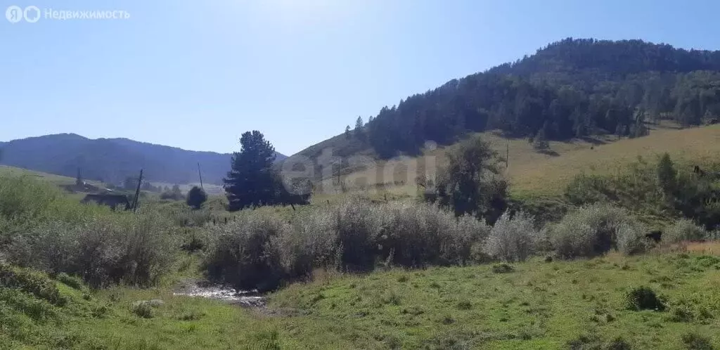 Участок в Шебалинский район, село Кукуя (21.2 м) - Фото 1